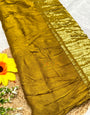 Pretty Plain Pure Modal Gajji Silk Saree With Zari Pallu Natural dyeing Saree-17