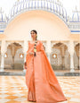Light Orange Zari Woven Banarasi Silk Saree