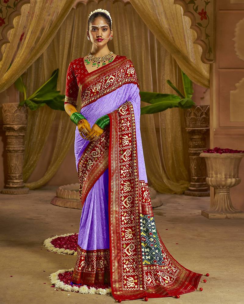 Luxury Embroidery Chikankari Patola Handloom Saree with Contrass Blouse