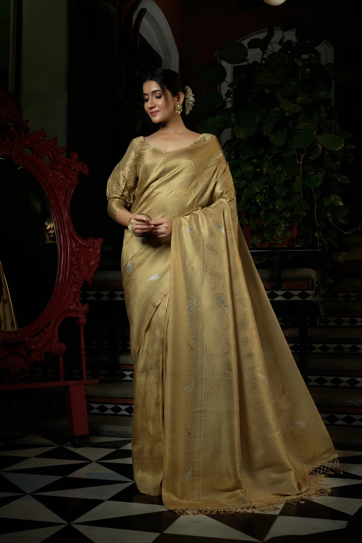 Copper-Silver Kanjeevaram Silk Saree