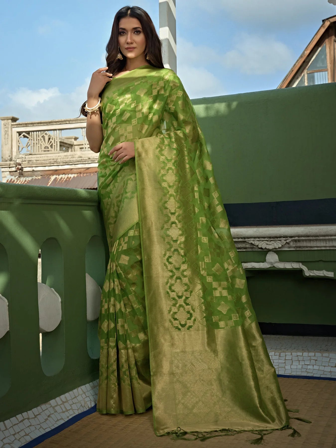 Green Organza Silk Saree With Tassel