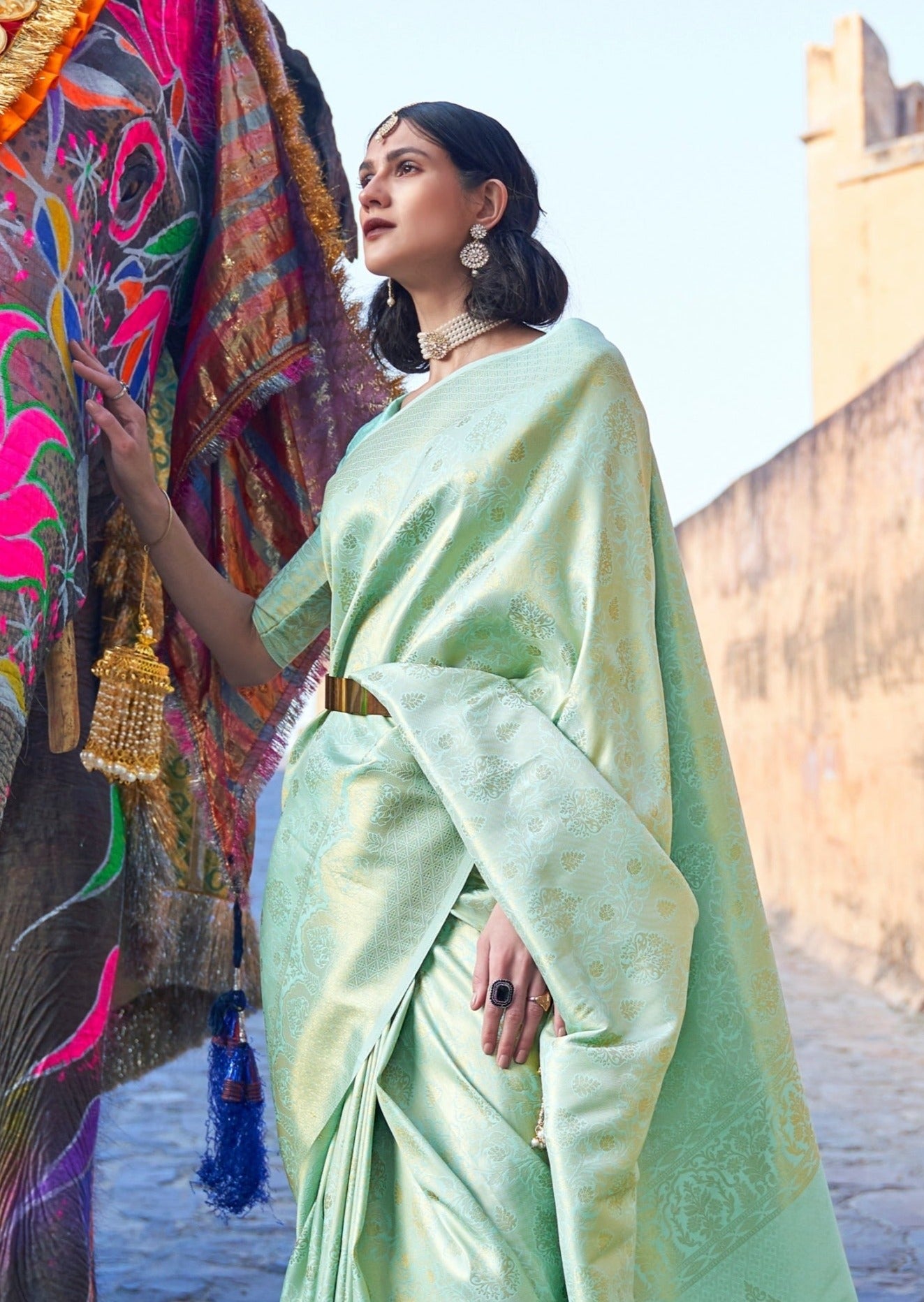 Pista Banarasi Jamawar Woven Silk Saree