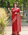 Rust Red Banglori Handloom Raw Silk Saree With Rich Pallu And Running Blouse Piece