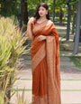 Orange Banglori Handloom Raw Silk Saree With Rich Pallu And Running Blouse Piece