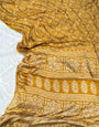 Yellow Patola Ajrakh Pure Modal Silk Ajrakh Pallu Saree