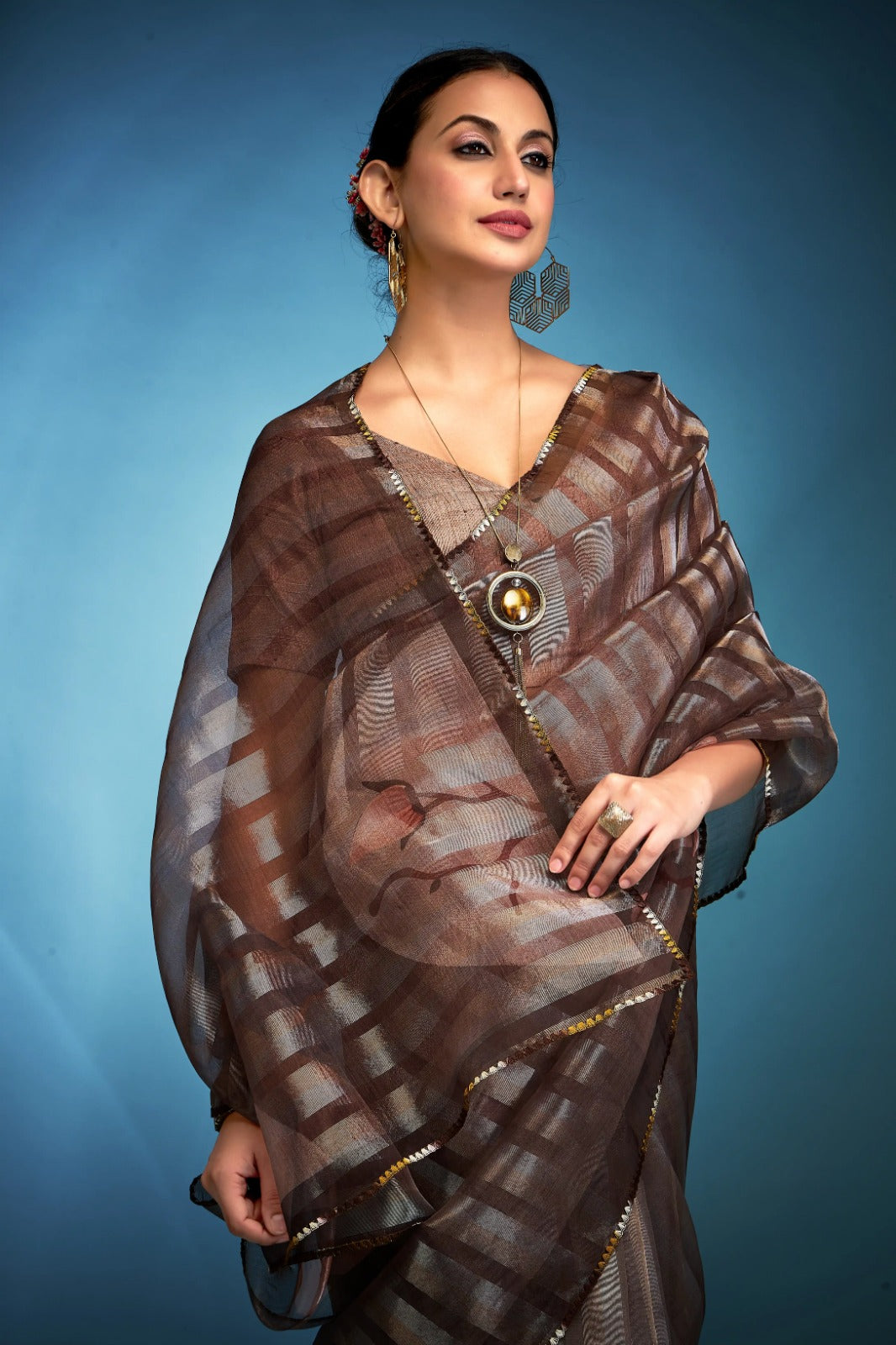 Misty Brown Printed Tissue Saree