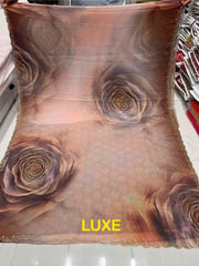 Luxe Two Tone Chiffon Tissue Saree with Diamond Crystal Work