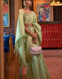 Gorgeous Pista Soft Banarasi Silk Saree With Alluring Blouse Piece