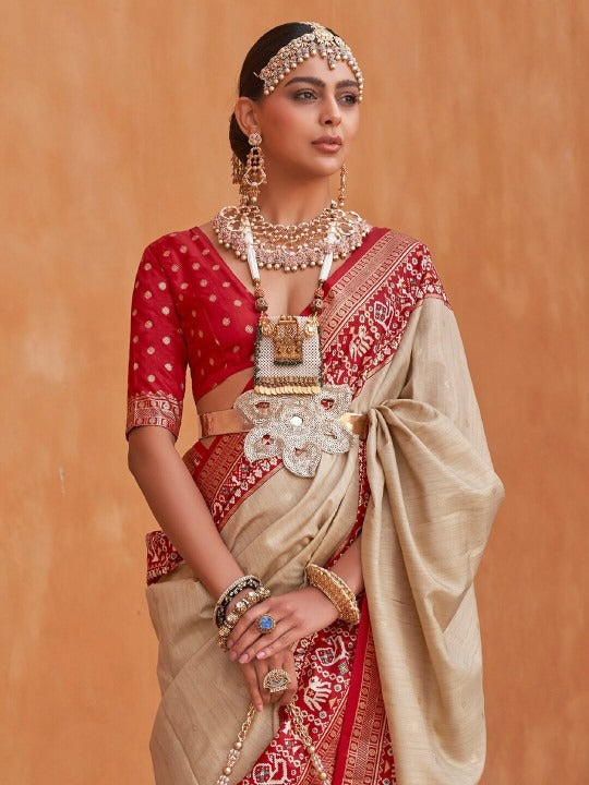 Skiny Printed Patola Handloom Soft Silk Saree