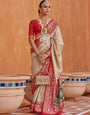 Skiny Printed Patola Handloom Soft Silk Saree